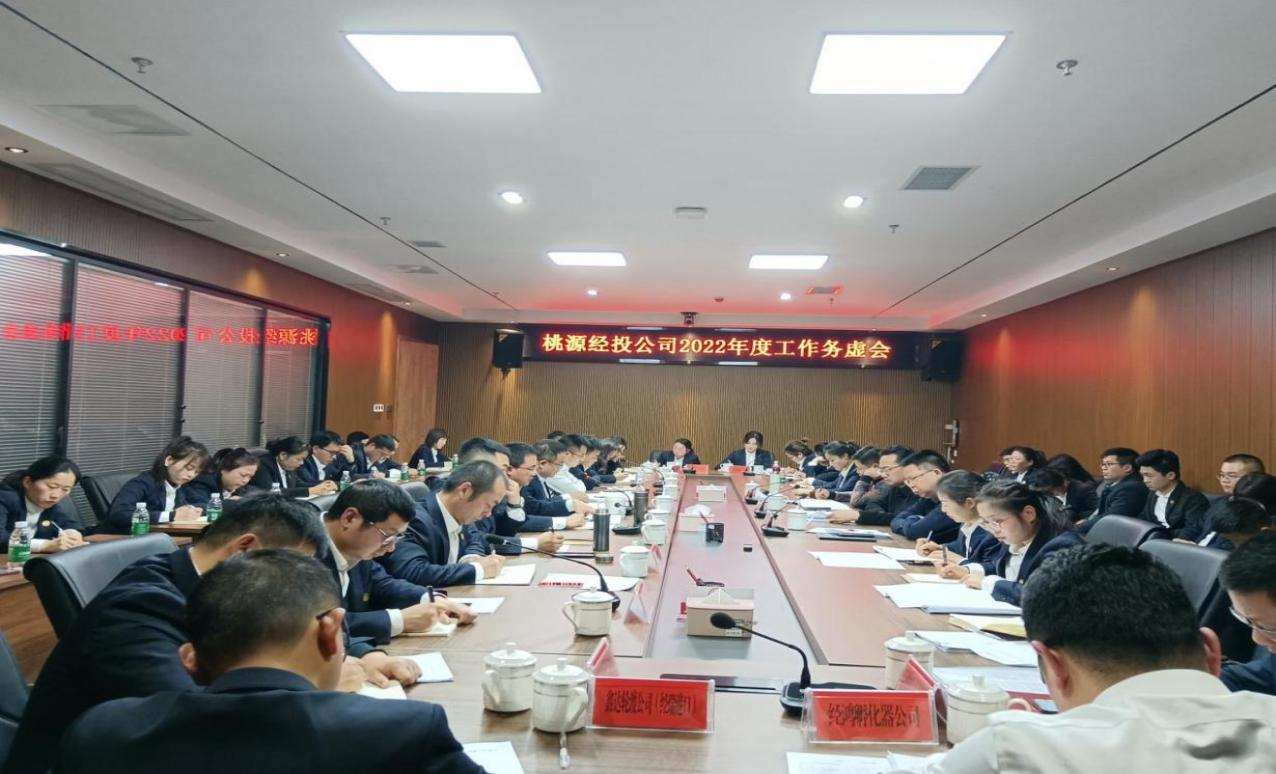 桃源经投公司召开2022年度工作务虚会